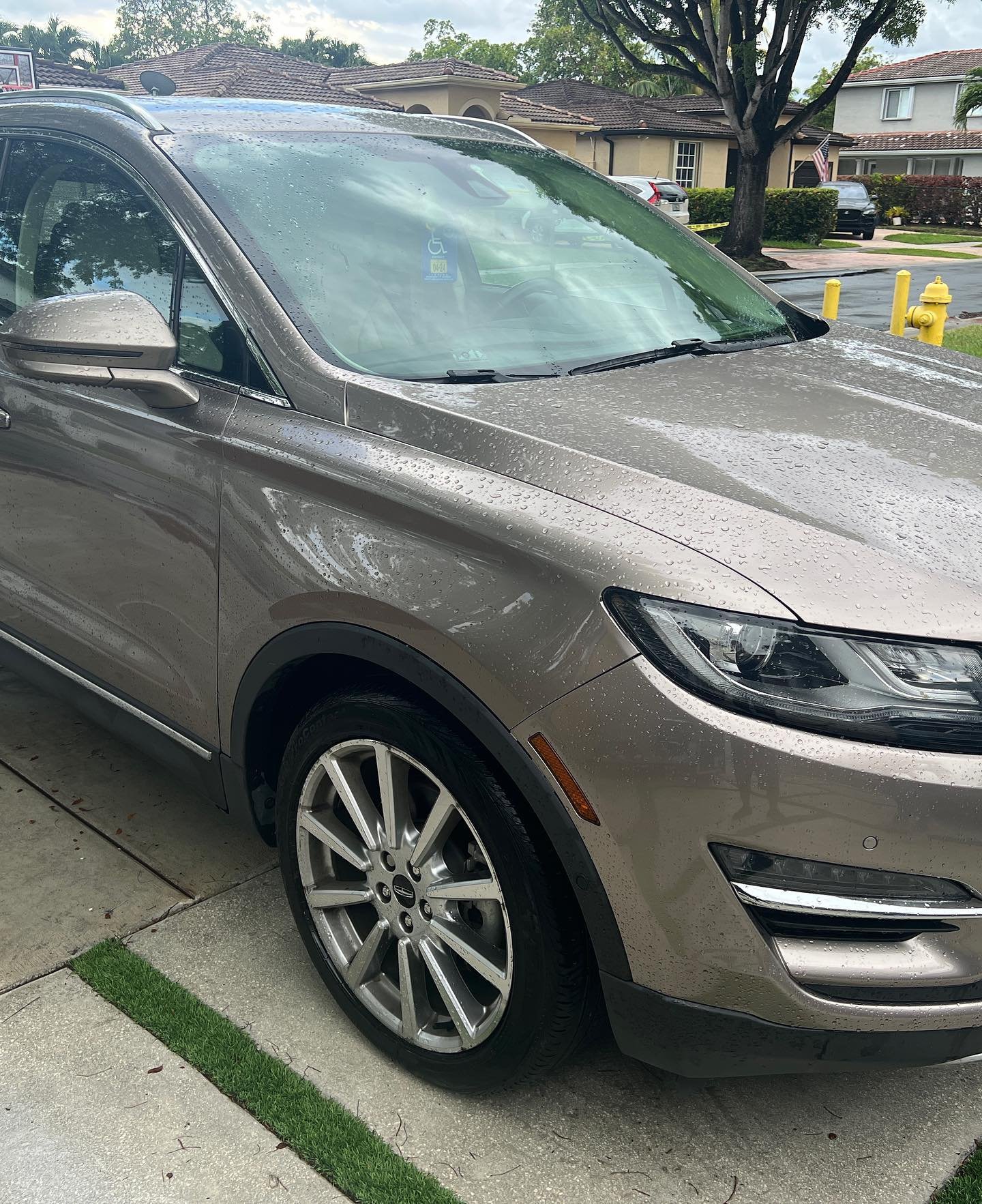 Professional exterior detailing service